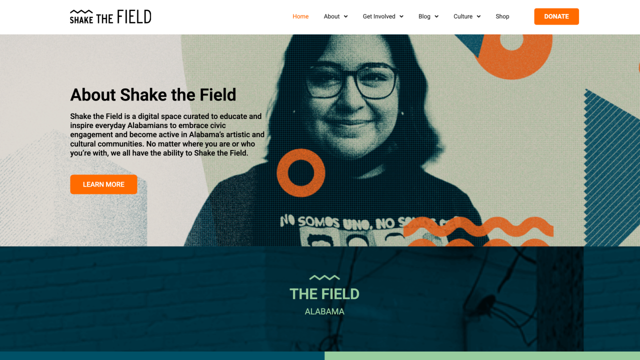 Shakethefield